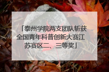 泰州学院两支团队斩获全国青年科普创新大赛江苏赛区二、三等奖
