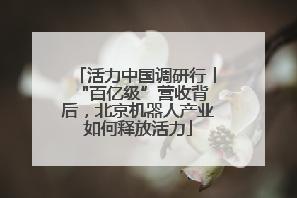 活力中国调研行丨 “百亿级”营收背后，北京机器人产业如何释放活力