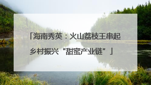海南秀英：火山荔枝王串起乡村振兴“甜蜜产业链”