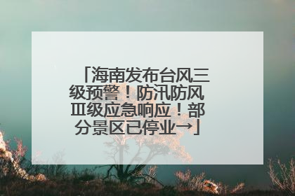 海南发布台风三级预警！防汛防风Ⅲ级应急响应！部分景区已停业→