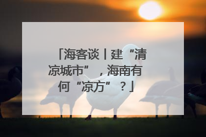 海客谈丨建“清凉城市”，海南有何“凉方”？