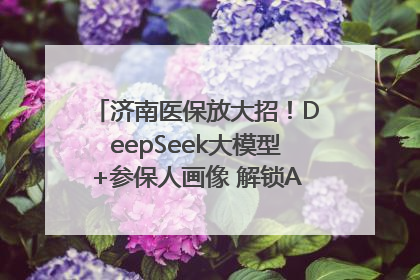 济南医保放大招！DeepSeek大模型+参保人画像 解锁AI医保管家新体验