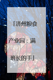 济州粮食产业园：满班长的手