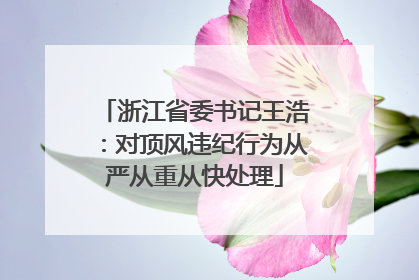 浙江省委书记王浩：对顶风违纪行为从严从重从快处理