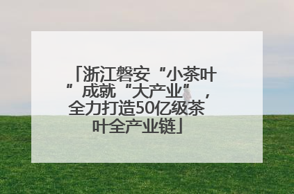 浙江磐安“小茶叶”成就“大产业”，全力打造50亿级茶叶全产业链