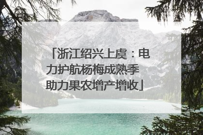 浙江绍兴上虞：电力护航杨梅成熟季 助力果农增产增收
