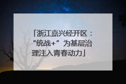 浙江嘉兴经开区：“统战+”为基层治理注入青春动力