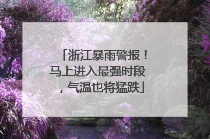 浙江暴雨警报！马上进入最强时段，气温也将猛跌
