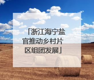 浙江海宁盐官推动乡村片区组团发展