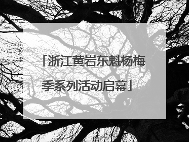 浙江黄岩东魁杨梅季系列活动启幕