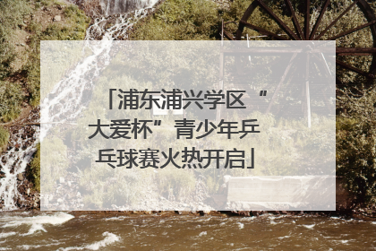 浦东浦兴学区“大爱杯”青少年乒乓球赛火热开启