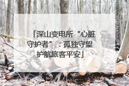 深山变电所“心脏守护者”：孤独守望护航旅客平安