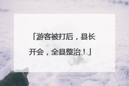游客被打后，县长开会，全县整治！