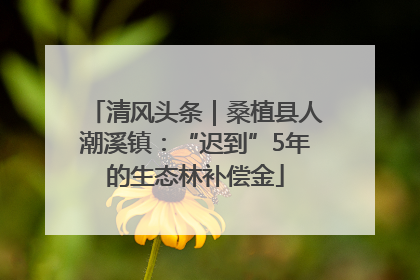 清风头条｜桑植县人潮溪镇：“迟到”5年的生态林补偿金
