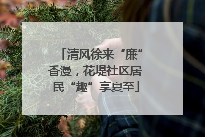 清风徐来“廉”香漫，花堤社区居民“趣”享夏至