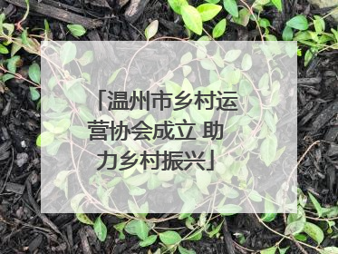 温州市乡村运营协会成立 助力乡村振兴