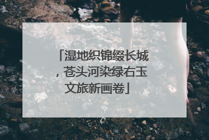 湿地织锦缀长城，苍头河染绿右玉文旅新画卷