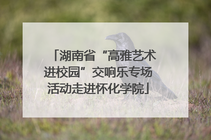 湖南省“高雅艺术进校园”交响乐专场活动走进怀化学院
