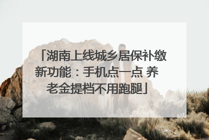 湖南上线城乡居保补缴新功能：手机点一点 养老金提档不用跑腿