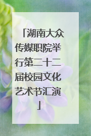 湖南大众传媒职院举行第二十二届校园文化艺术节汇演