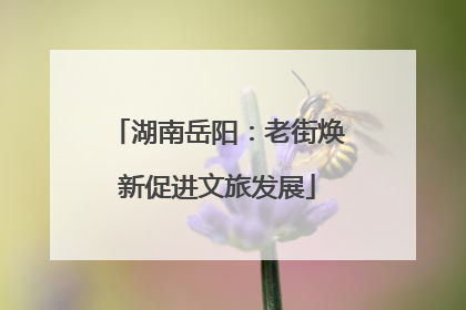 湖南岳阳：老街焕新促进文旅发展
