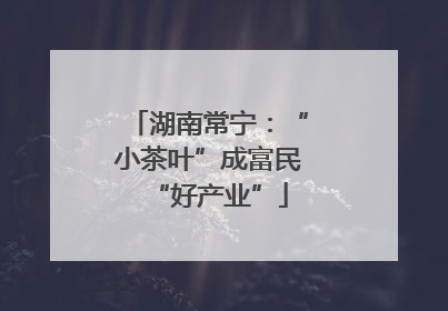 湖南常宁：“小茶叶”成富民“好产业”