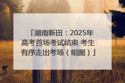 湖南新田：2025年高考首场考试结束 考生有序走出考场（组图）