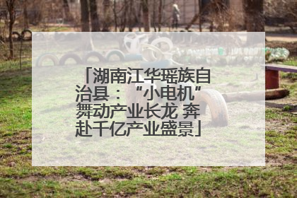 湖南江华瑶族自治县：“小电机”舞动产业长龙 奔赴千亿产业盛景
