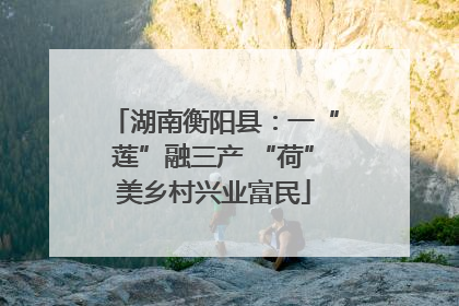 湖南衡阳县：一“莲”融三产 “荷”美乡村兴业富民