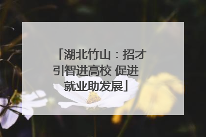 湖北竹山：招才引智进高校 促进就业助发展