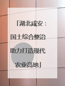 湖北咸安：国土综合整治助力打造现代农业高地