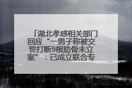 湖北孝感相关部门回应“一男子称被交警打断9根肋骨未立案”：已成立联合专班开展工作