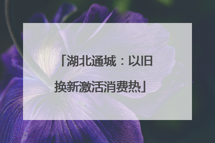 湖北通城：以旧换新激活消费热