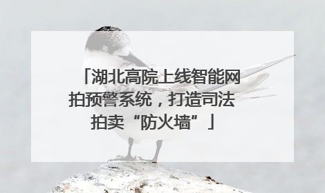 湖北高院上线智能网拍预警系统，打造司法拍卖“防火墙”
