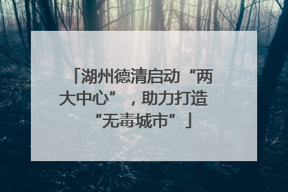 湖州德清启动“两大中心”，助力打造“无毒城市”