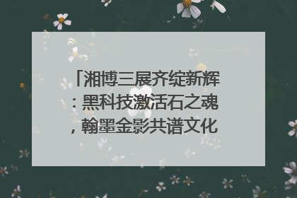 湘博三展齐绽新辉：黑科技激活石之魂，翰墨金影共谱文化遗产日华章