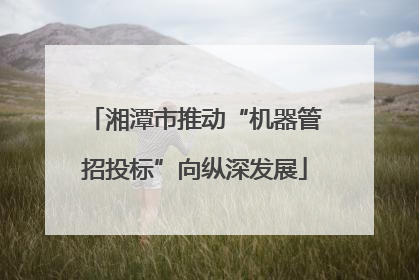 湘潭市推动“机器管招投标”向纵深发展