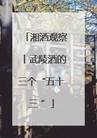 湘酒观察丨武陵酒的三个“五十三 ”