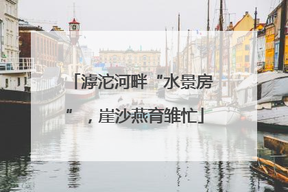 滹沱河畔“水景房”，崖沙燕育雏忙