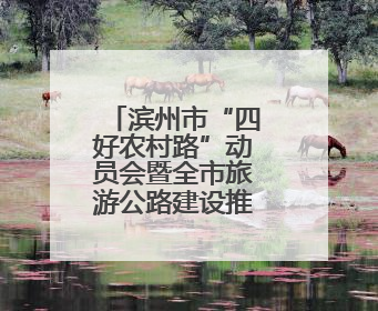 滨州市“四好农村路”动员会暨全市旅游公路建设推进会议召开