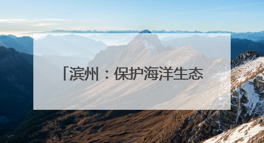 滨州：保护海洋生态环境 为子孙后代留下充满生机的海洋