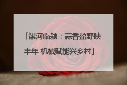 漯河临颍：蒜香盈野映丰年 机械赋能兴乡村