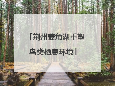 荆州菱角湖重塑鸟类栖息环境