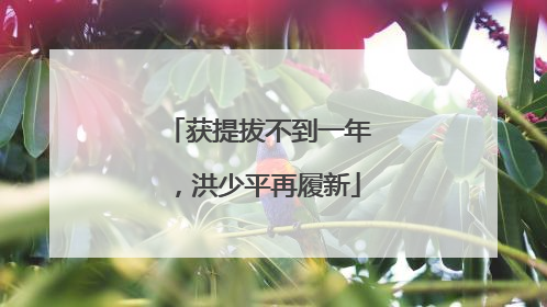 获提拔不到一年，洪少平再履新