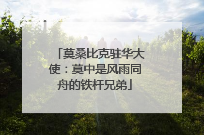 莫桑比克驻华大使：莫中是风雨同舟的铁杆兄弟