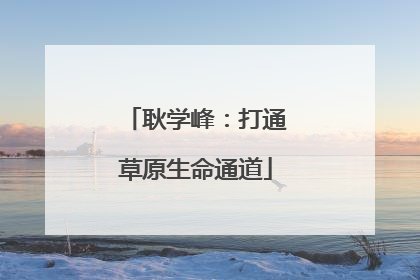 耿学峰：打通草原生命通道