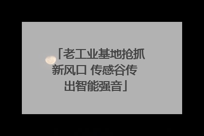 老工业基地抢抓新风口 传感谷传出智能强音