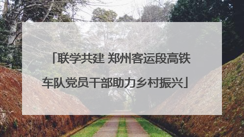 联学共建 郑州客运段高铁车队党员干部助力乡村振兴
