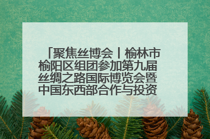 聚焦丝博会丨榆林市榆阳区组团参加第九届丝绸之路国际博览会暨中国东西部合作与投资贸易洽谈会