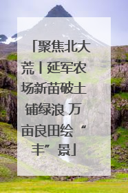 聚焦北大荒丨延军农场新苗破土铺绿浪 万亩良田绘“丰”景
